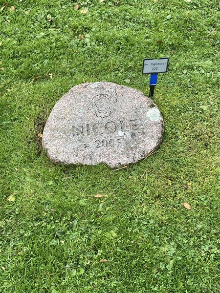 Grave number: 2 C   222