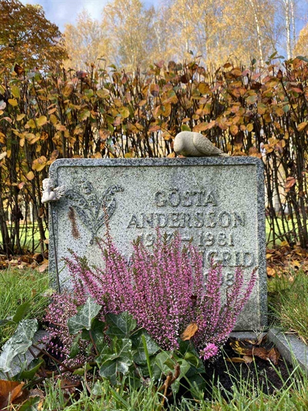 Hautatunnus: 1 24     54