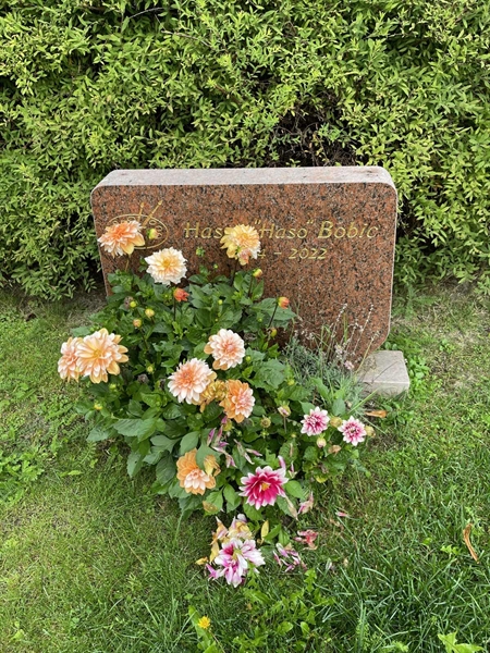 Grave number: 1 A2    21-22