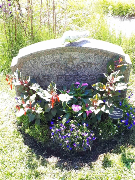 Hautatunnus: GK F 5   637IJ