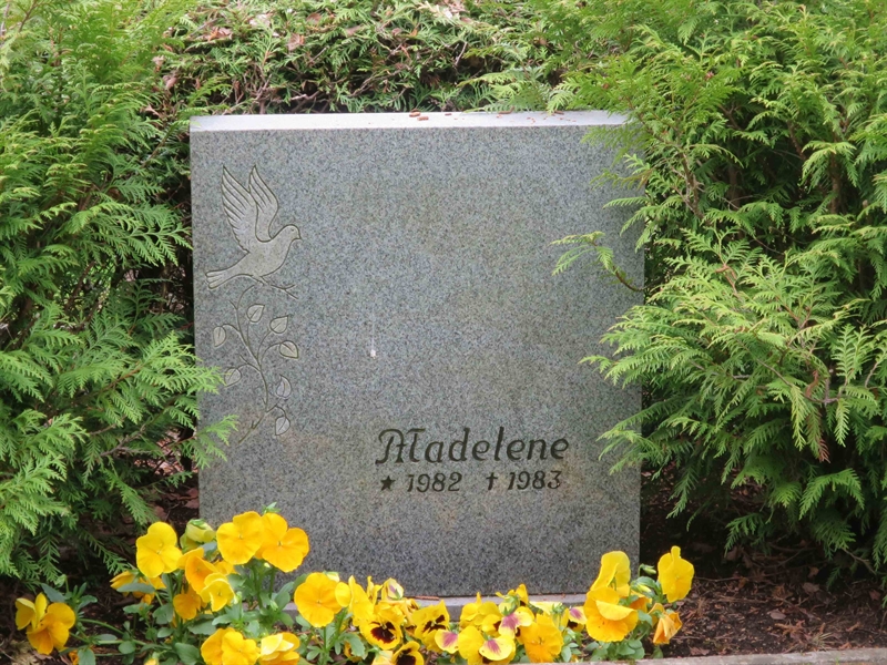 Grave number: HÖB 70E   127