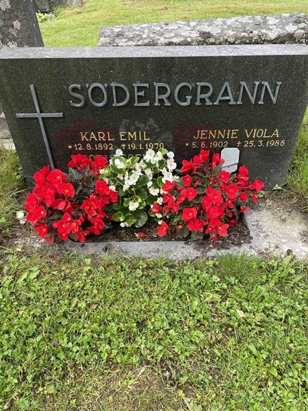 Gravnummer: N 4 3   360