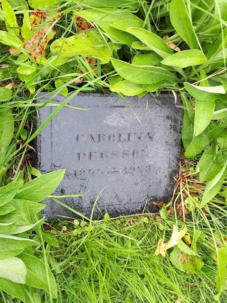 Hautatunnus: GK A 4   314V