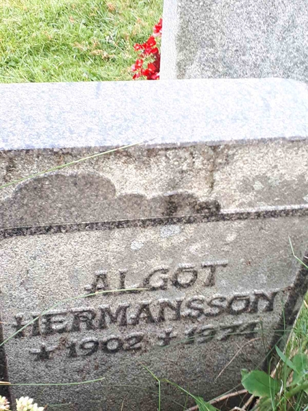 Gravnummer: NK F B   828