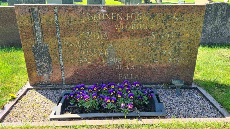 Grave number: M G 15 62-65