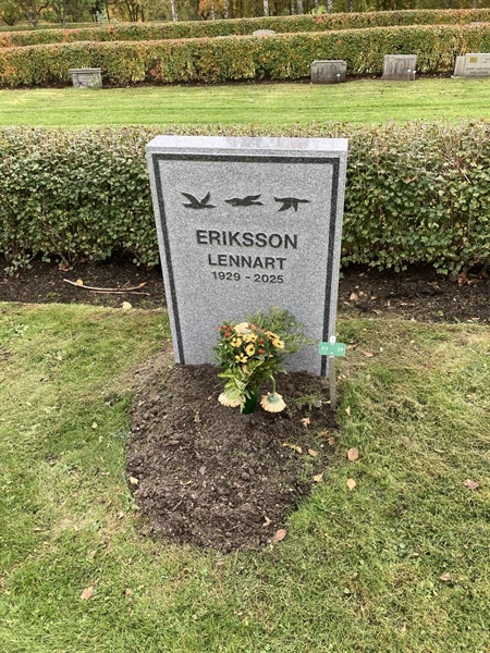 Gravnummer: 1 3 D1    19