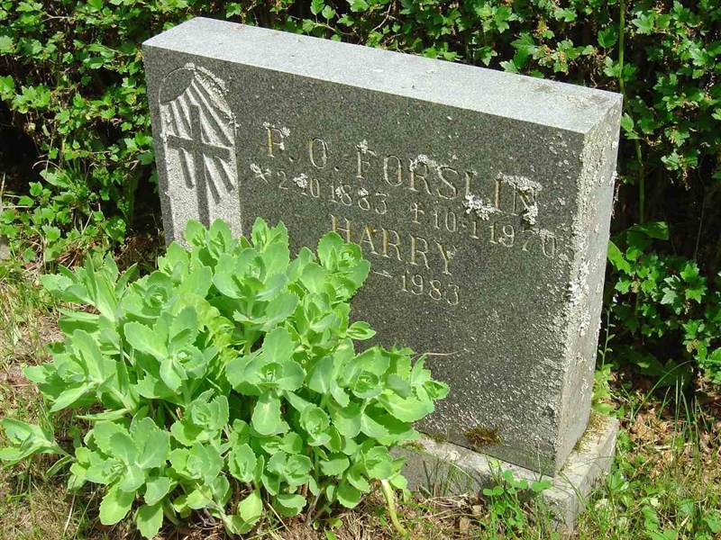 Grave number: A C   15