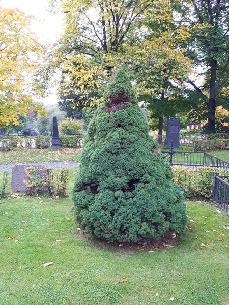 Hautatunnus: GK F 1    57A