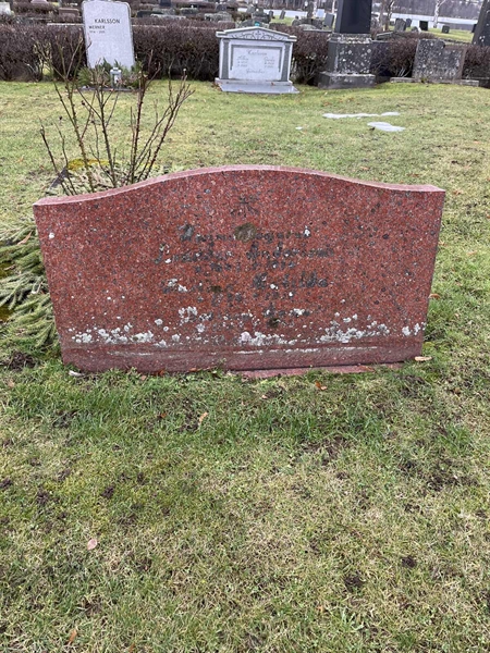 Hautatunnus: Vårv Kv3   133-135