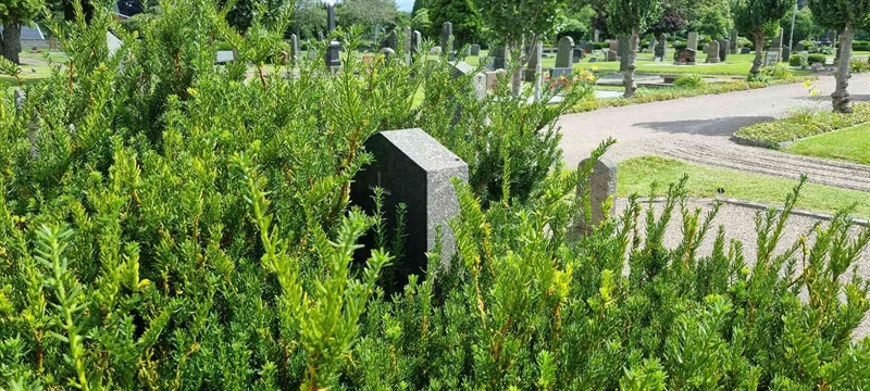 Grave number: LM 2 11  001, 002