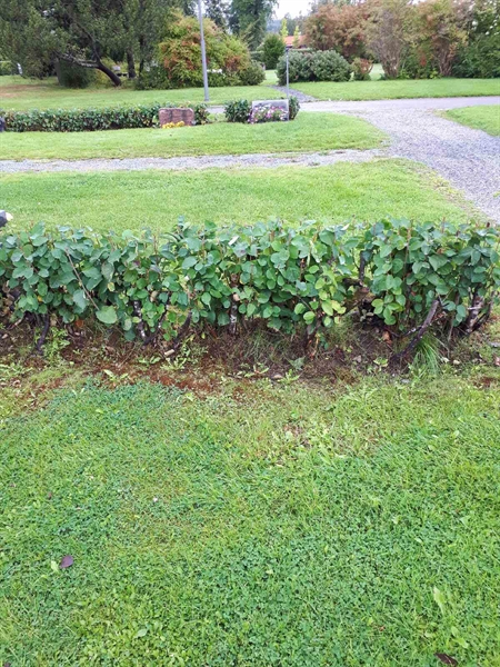 Gravnummer: NK F A    74-75