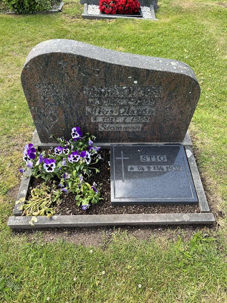 Grave number: Vårv Kv5 29+30