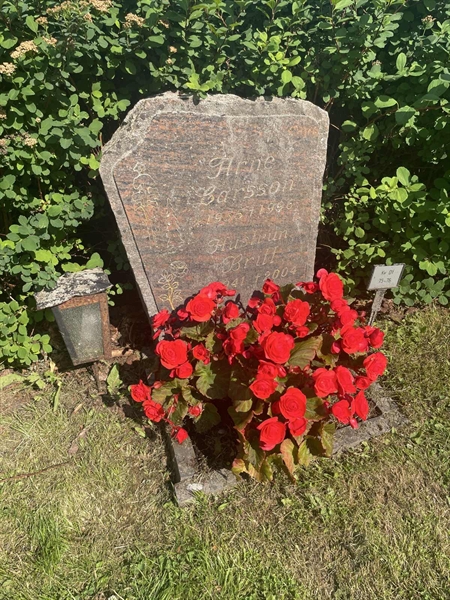 Hautatunnus: 1 D1    75-76