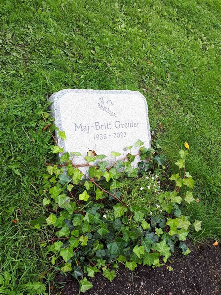 Gravnummer: NK F D   569