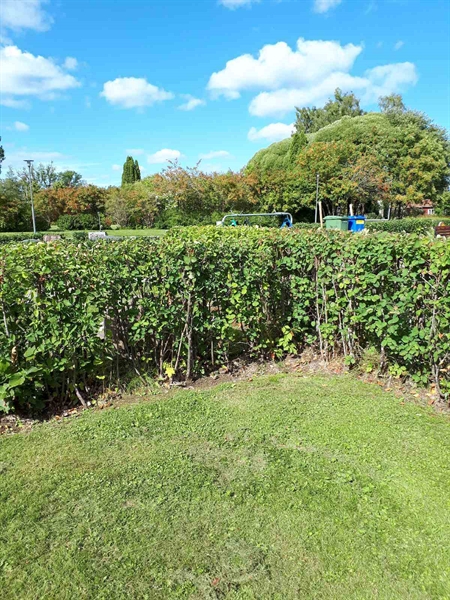 Gravnummer: NK F A   139