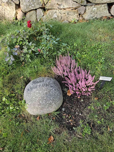 Hautatunnus: Fr 5   879