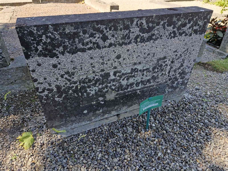 Grave number: 1 HOPP 35A