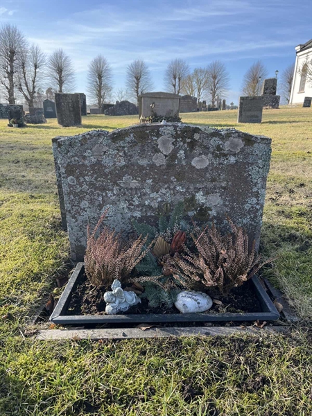 Hautatunnus: HA N    93