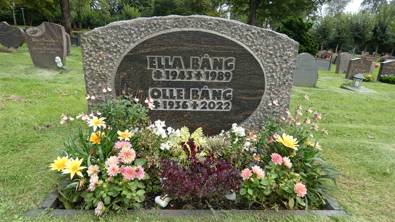 Hautatunnus: SN D   211
