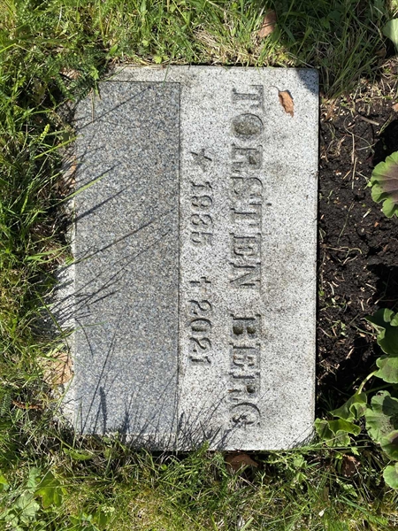 Hautatunnus: 1 05 100