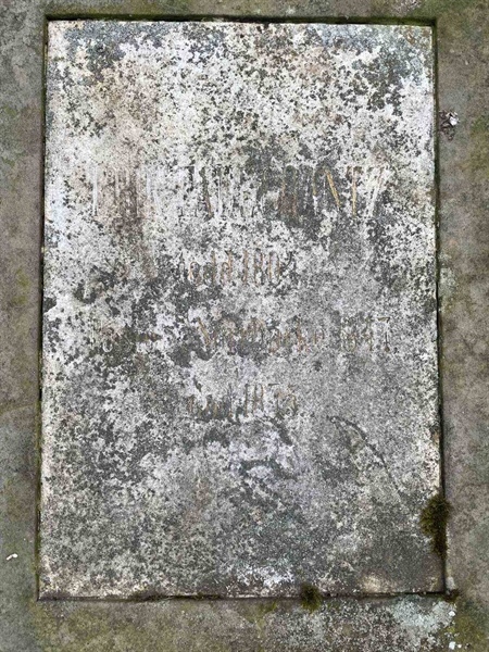 Gravnummer: GK F 2   145