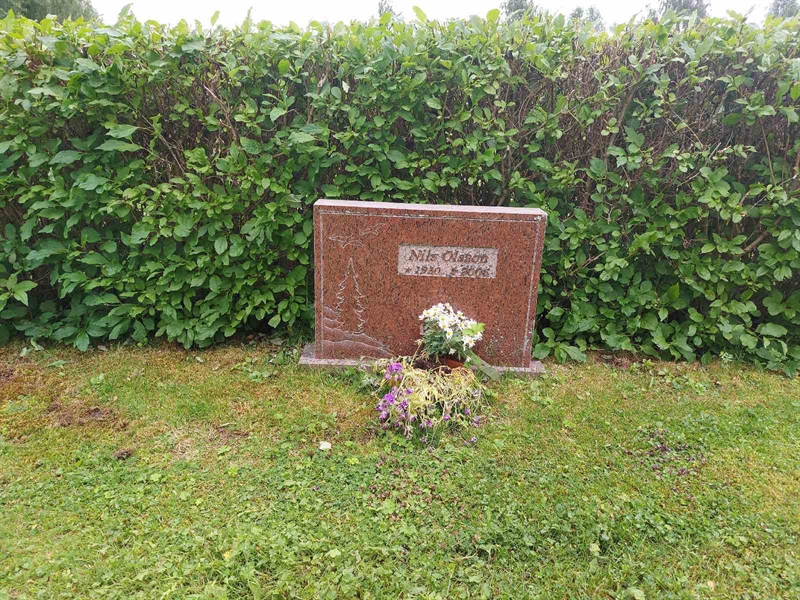 Grave number: FÖ 7     0