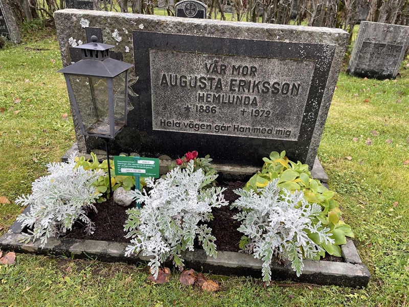 Grave number: 1 D   266Allm