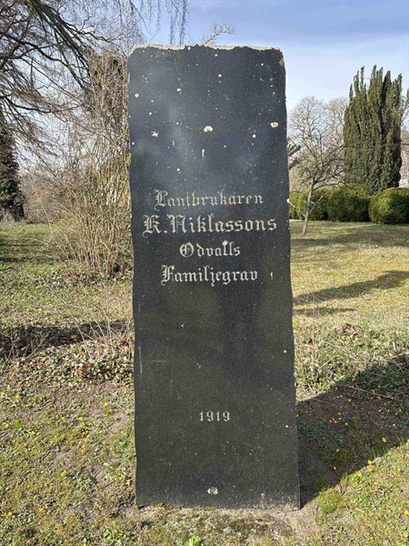 Gravnummer: LI     1