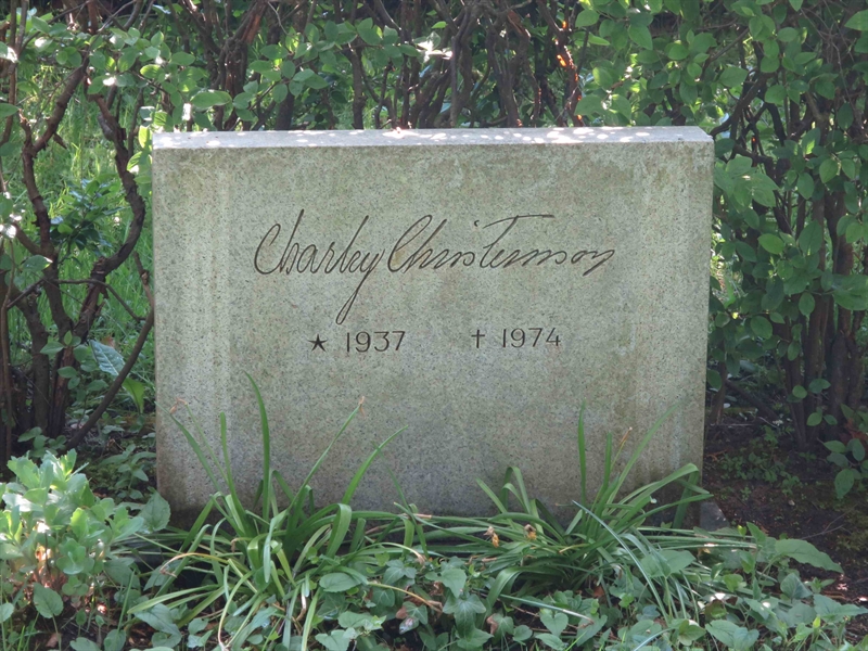 Grave number: HÖB 68   113