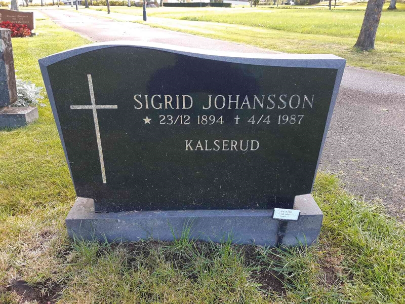 Gravnummer: Fr 8   539