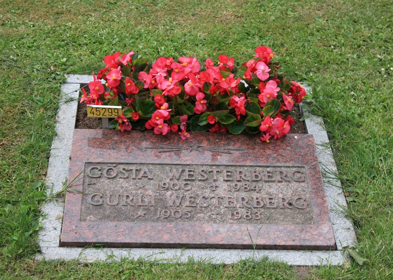 Grave number: Ö 45   299