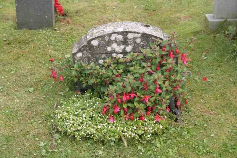 Grave number: 07 3   215