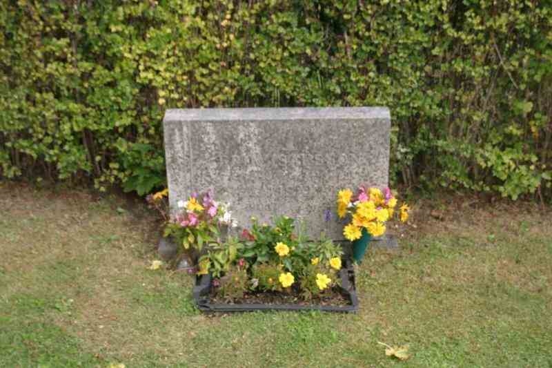 Grave number: 07 8   556-557