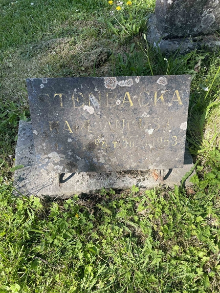 Grave number: N 5 3   354