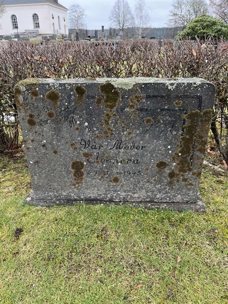 Hautatunnus: Vårv Kv4 223