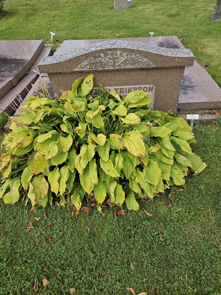 Hautatunnus: Fr 2   414-415