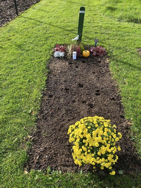 Hautatunnus: 2 G    82