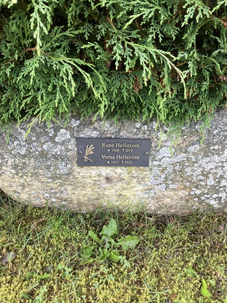 Grave number: TN AL 6    49