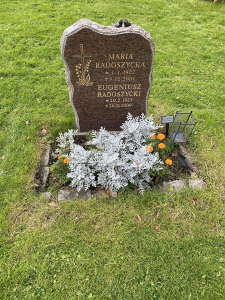 Hautatunnus: 2 C   242-243