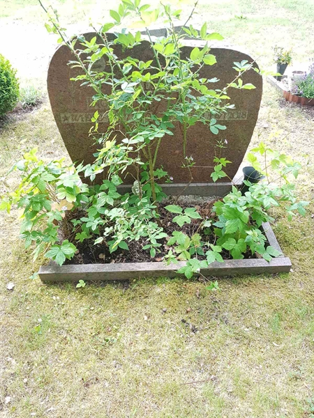 Grave number: 01 15006