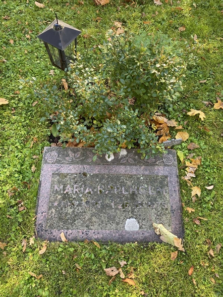 Gravnummer: 1 H   343