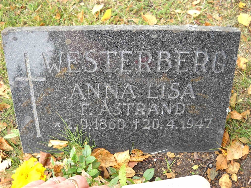 Grave number: 3 MB 12 74
