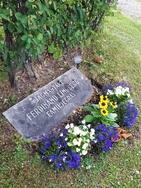 Hautatunnus: GK F 5   449