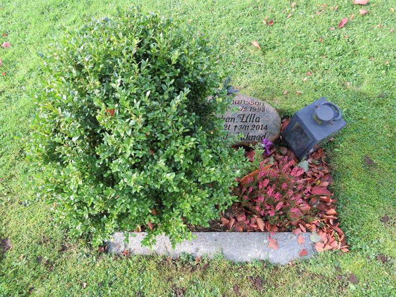 Grave number: 1 09  168