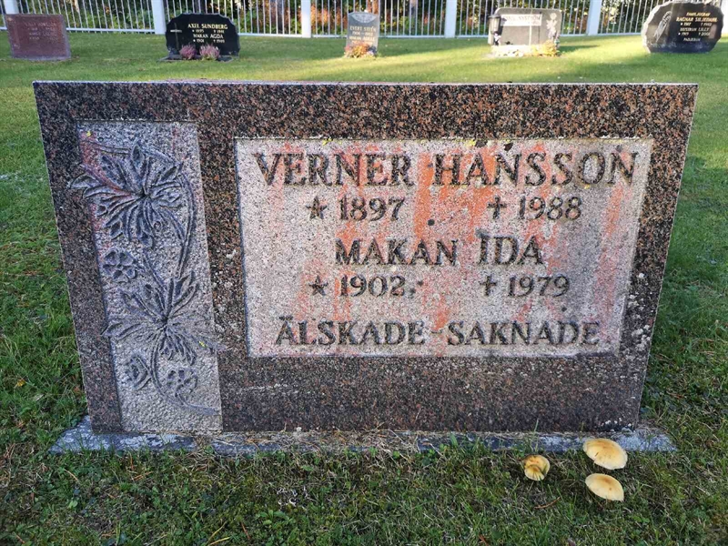 Hautatunnus: VLM 11    49:1-2