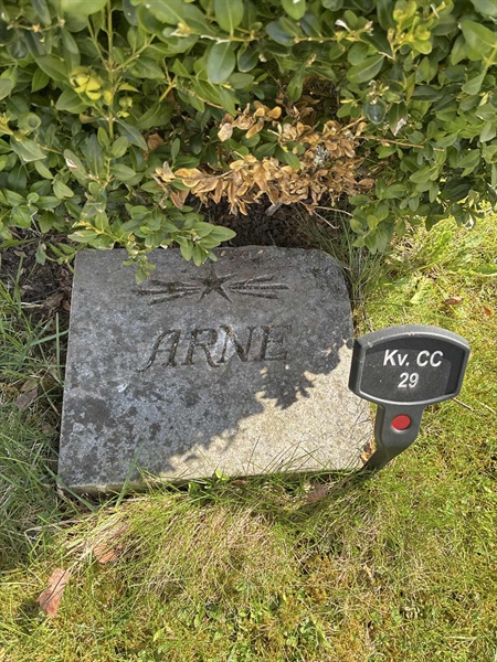 Gravnummer: 22 CC    29