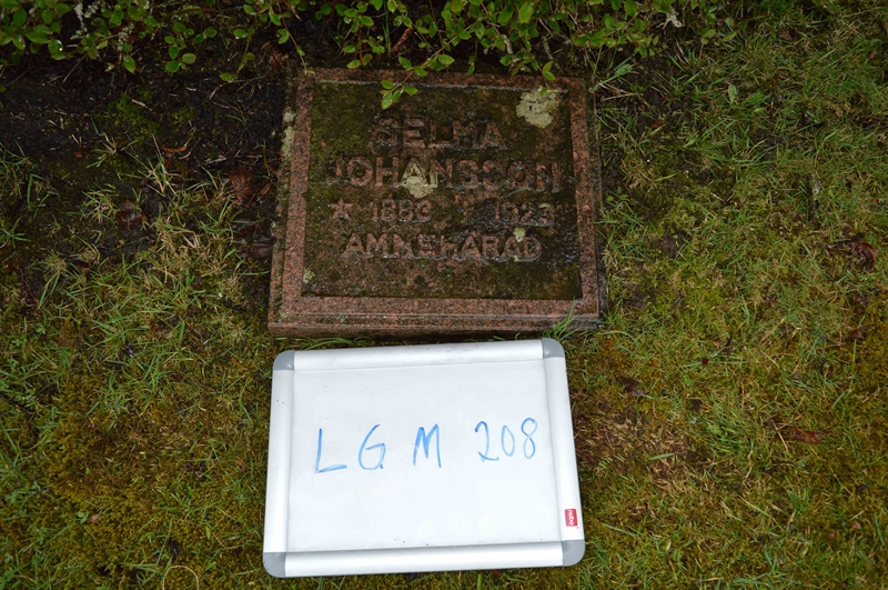 Grave number: LG M   208