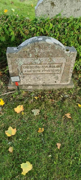 Grave number: M V   23a