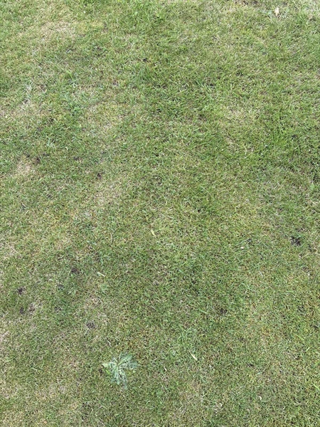 Grave number: SKF E    81