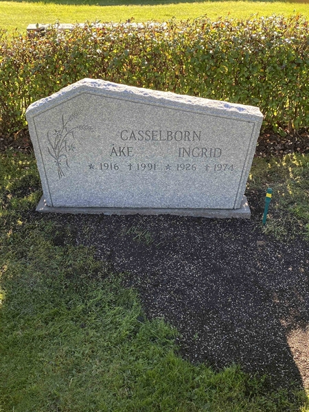 Grave number: 1 18     95, 96